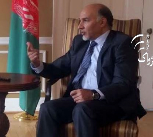Pakistan Violated  Afghan Border 56 Times in 3 Months: Envoy